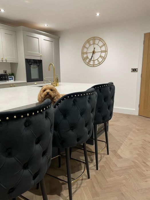 Ashby Bar Stool Black Velvet