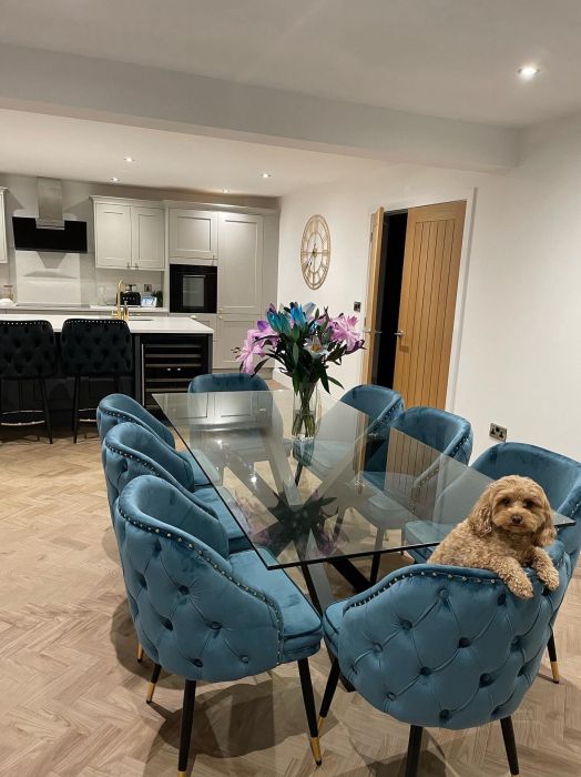 Ashby Dining Chair Teal Velvet